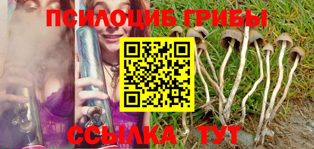 Псилоцибиновые грибы прущие грибы Пенза