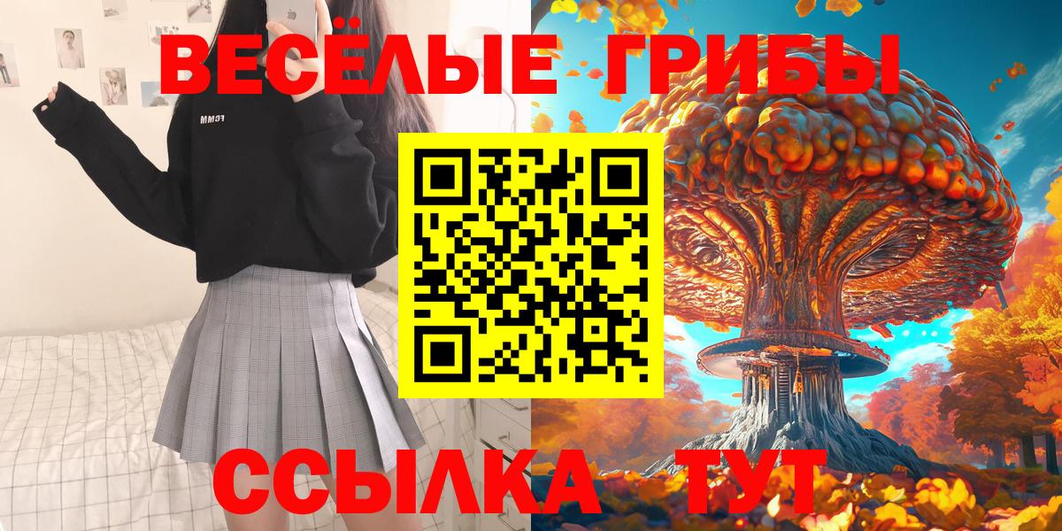 Галлюциногенные грибы Psilocybe  Вход с VPN  Пенза 